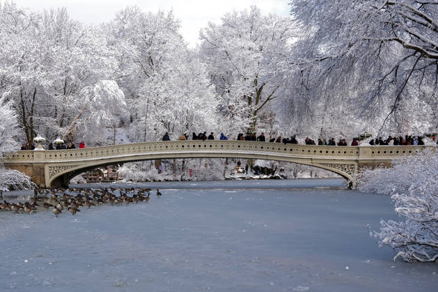 NEW YORK, NY - DECEMBER 14: People walk in Central Park to enjoy the scenery after snowfall on December 14, 2025 in New York City. New York city on December 14 welcomed its first big snowfall of this winter.  Copyright: xChinaxNewsxServicex 111609874858