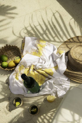 Vacation scene with citrus, bottle, sunhat and palm shadow Speightstown, Saint Peter, Barbados R_WDJM251226A-1917125-01