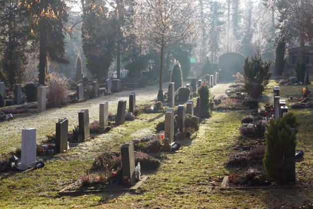 deutsche Friedhofskultur, Grabfeld mit Grabsteinen im Gegenlicht, Urnengräber, Friedhof im Winter