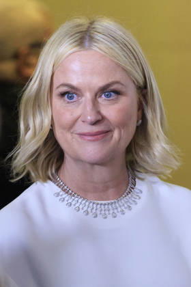 January 11, 2026, Beverly Hills, California, USA: Amy Poehler in the press room during the 83rd Annual Golden Globe Awards on Sunday, January 11, 2026, at the Beverly Hilton in Beverly Hills, California. ARIANA RUIZ BNS PI Beverly Hills USA - ZUMAp124 20260111_zaa_p124_294 Copyright: xArianaxRuizx