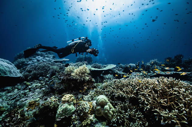underwater photographer exploring the Komodo National park Badjo, Nusa Tenggara Timur, Indonesia CR_THHE260307-1959082-01 ,model released, Symbolfoto
