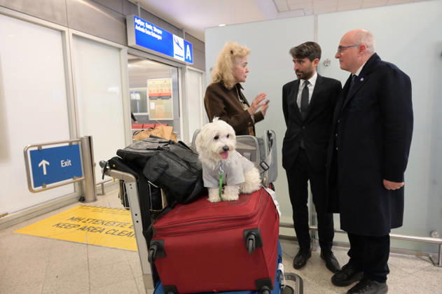 Repatriation Flight From Abu Dhabi Carrying Greeks And Their Pets Arrives In Athens A passenger on board a repatriation flight from Abu Dhabi arrives with her dog at Athens International Airport, Greece, on March 18, 2026. This special Aegean Airlines flight is organized by the Greek government to bring home 101 Greek nationals residing in the United Arab Emirates, along with their pets, due to wider disruptions in the area involving Iran. Athens Greece Copyright: xNicolasxKoutsokostasx originalFilename: koutsokostas-notitle260318_npO5i
