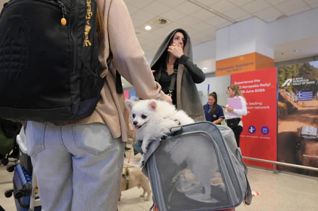 Repatriation Flight From Abu Dhabi Carrying Greeks And Their Pets Arrives In Athens A passenger on board a repatriation flight from Abu Dhabi arrives with her dog at Athens International Airport, Greece, on March 18, 2026. This special Aegean Airlines flight is organized by the Greek government to bring home 101 Greek nationals residing in the United Arab Emirates, along with their pets, due to wider disruptions in the area involving Iran. Athens Greece Copyright: xNicolasxKoutsokostasx originalFilename: koutsokostas-notitle260318_nprGI