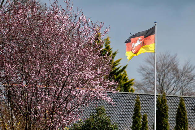 29.03.2026 Blick auf eine so genannte Blutpflaume, die in Liebenburg im Landkreis Goslar in Niedersachsen in voller Blüte steht. Dahinter weht an einem Mast vor einem Haus eine Deutschlandfahne mit dem Wappen von Niedersachsen. Liebenburg Niedersachsen Deutschland