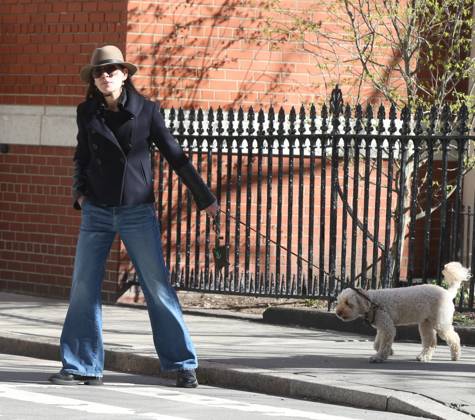 Julianna Margulies seen walking her adorable pooch out in the West Village Featuring: Julianne Marguiles Where: New York City, New York, United States When: 11 Apr 2026 Credit: Rob Davis INSTARimages EDITORIAL USE ONLY. NOT FOR USE BY NEWSPAPERS BASED IN THE UK. Copyright: xx instar55611785