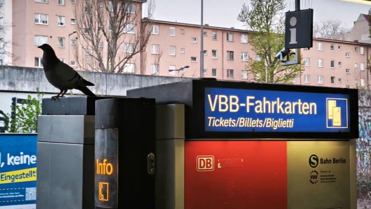 Berlin,15.04.2026,S-Bahnhof Hohenzollerndamm, eine Taube sitzt auf einen VBB-Fahrkarten Automaten