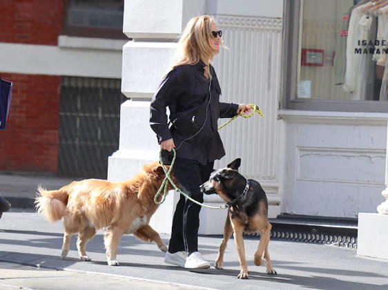Annabelle Wallis out in New York British actress Sebastian Stan girlfriend Annabelle Wallis pregnant walks her dogs on the street in New York, NY on April 15, 2026. Photo by Dylan Travis ABACAPRESS.COM New York NY  Copyright: xDylanxTravis ABACAx
