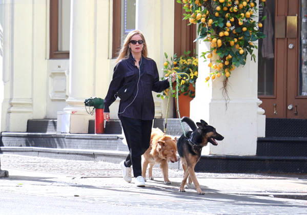 Annabelle Wallis out in New York British actress Sebastian Stan girlfriend Annabelle Wallis pregnant walks her dogs on the street in New York, NY on April 15, 2026. Photo by Dylan Travis ABACAPRESS.COM New York NY  Copyright: xDylanxTravis ABACAx