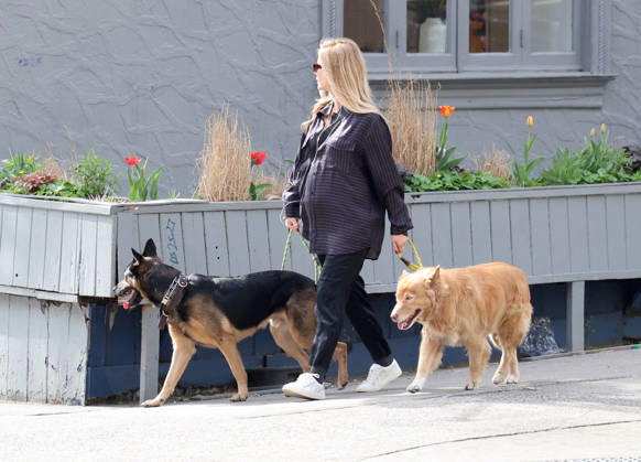 Annabelle Wallis out in New York British actress Sebastian Stan girlfriend Annabelle Wallis pregnant walks her dogs on the street in New York, NY on April 15, 2026. Photo by Dylan Travis ABACAPRESS.COM New York NY  Copyright: xDylanxTravis ABACAx