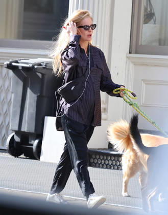 Annabelle Wallis out in New York British actress Sebastian Stan girlfriend Annabelle Wallis pregnant walks her dogs on the street in New York, NY on April 15, 2026. Photo by Dylan Travis ABACAPRESS.COM New York NY  Copyright: xDylanxTravis ABACAx
