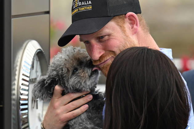 HARRY AND MEGHAN AUSTRALIA VISIT, Prince Harry holds a small dog as he walks with wife Meghan, the Duke and Duchess of Sussex at the Cruising Yacht Club of Australia after sailing on Sydney Harbour with Invictus Australia during a visit to Australia, Sydney, Friday, April 17, 2026. ( NO ARCHIVING SYDNEY NEW SOUTH WALES AUSTRALIA  Copyright: xDEANxLEWINSx 20260417125919138189