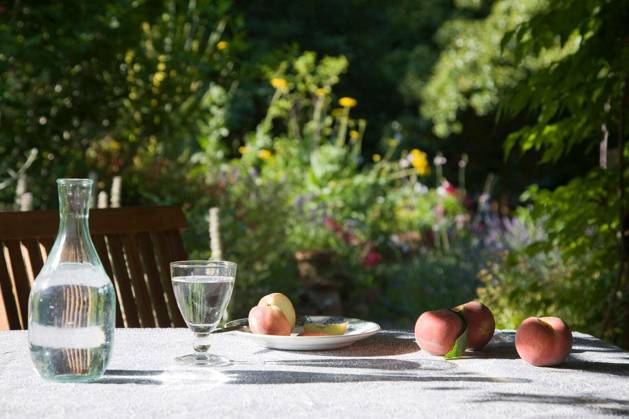 Peaches On Garden Table - Closeup of peaches on garden table with blurred plants in the background model released Symbolfoto Copyright: xmoodboardx Panthermedia75379722.jpg