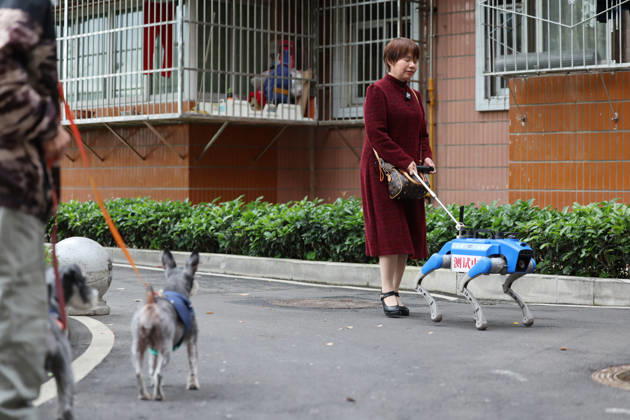 CHENGDU, CHINA - APRIL 21: A visually impaired woman tests an all-terrain smart guide dog on April 21, 2026 in Chengdu, Sichuan Province of China. This robot navigates slopes, uneven roads, and stairs. Featuring HD voice interaction, it supports daily activities such as commuting, shopping, and hospital visits, empowering users with independence through advanced environmental perception and mobility.  Copyright: xChinaxNewsxServicex 111636279627