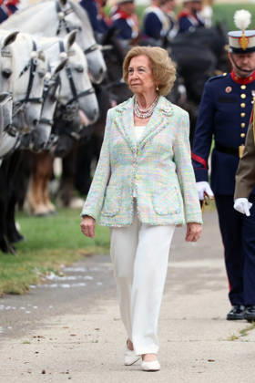 Queen Sofia presides over the ceremony of the solemn Swearing in of civilian personnel Queen Sofia during the ceremony of the solemn Swearing in of civilian personnel at the El Rey de la Guardia Real Barracks, on April 24, 2026, in Madrid Spain The oath or promise before the Flag of Spain is legally established in our legal system, It allows Spaniards who, without wishing to join the Armed Forces on a professional basis, may express their commitment to the defense of Spain, by taking the oath or pledge before the Spanish Flag, as a prerequisite for the acquisition of the status of professional military personnel.  Copyright: xÃngelxDiazxBrinasx 7467766