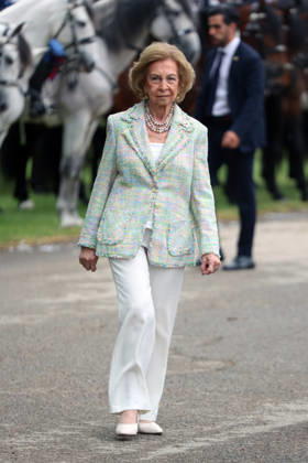 Queen Sofia presides over the ceremony of the solemn Swearing in of civilian personnel Queen Sofia during the ceremony of the solemn Swearing in of civilian personnel at the El Rey de la Guardia Real Barracks, on April 24, 2026, in Madrid Spain The oath or promise before the Flag of Spain is legally established in our legal system, It allows Spaniards who, without wishing to join the Armed Forces on a professional basis, may express their commitment to the defense of Spain, by taking the oath or pledge before the Spanish Flag, as a prerequisite for the acquisition of the status of professional military personnel.  Copyright: xÃngelxDiazxBrinasx 7467769