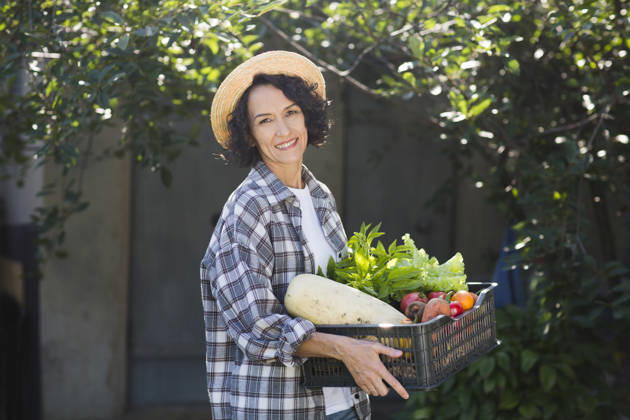 Eine fröhliche Frau mittleren Alters mit einem Strohhut hält eine Schale mit Gemüse in der Hand, das sie in ihrem Garten geerntet hat. Happy middle aged woman wearing a straw hat holds a box of vegetables picked in her garden.. (License=RF) ,model released, Symbolfoto Copyright: xZoonar.com UliaxZotaninax 24923523 ,model released, Symbolfoto ,property released