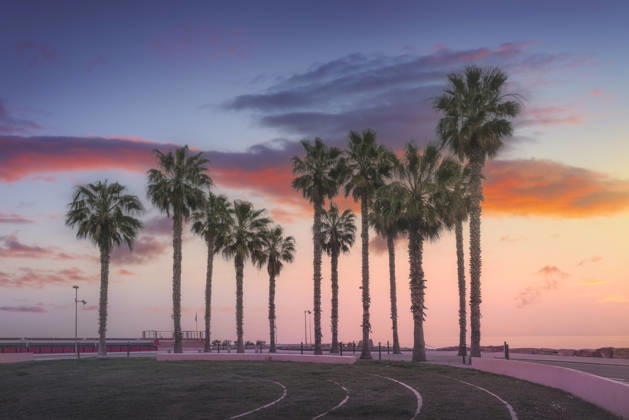 Sonnenuntergang über Palmen in Santo Stefano al Mare, Ligurien Sunset landscape with palm trees silhouettes on the seafront of Santo Stefano al Mare. Colorful sky over the Riviera dei Fiori, Imperia, Liguria, Italy (License=RF) Copyright: xZoonar.com StefanoxOrazzinix 24987425