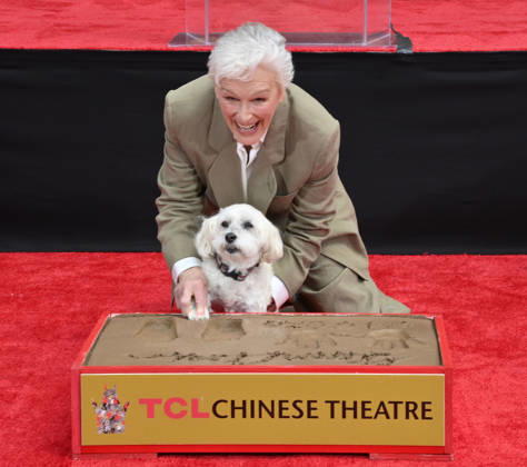 Actress Glenn Close and her dog Pip participate in a hand and footprint ceremony immortalizing her in the forecourt of the TCL Chinese Theatre (formerly Grauman s) in the Hollywood section of Los Angeles on Friday, May 1, 2026.  LAP2026050121 JIMxRUYMEN