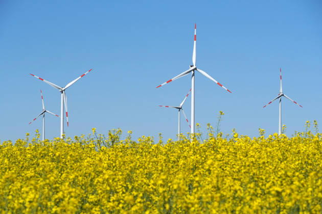 Kulturlandschaft mit Windrädern und blühendem Rapsfeld, nachhaltige Energiegewinnung, Landwirtschaft im Mai