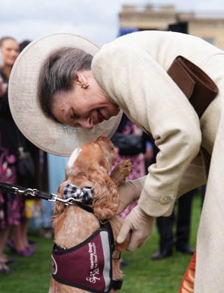 The Royal Family attend a Garden Party Members of the Royal Family attend a Garden Party at Buckingham Palace, London, UK, on the 6th May 2026. Picture by Aaron Chown WPA-Pool London Buckingham Palace London United Kingdom  WHA-0817