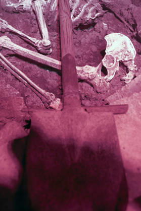 Premiere von Serienkiller - Die True Crime Ausstellung in der Oskar-Jäger-Straße 99. Köln, 07.05.2026