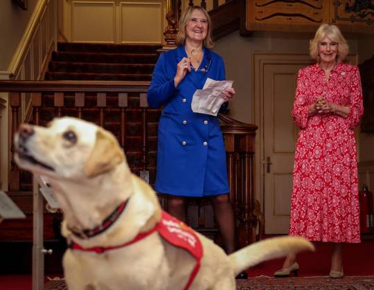 Image Licensed to Parsons Media. 12 05 2026. London, United Kingdom. The Queen- Reception for Medical Detection Dogs. Her Majesty The Queen, as Patron of Medical Detection Dogs, hosts a reception at Clarence House.  Copyright: xAndrewxParsonsx xParsonsxMediax PAR-9207-0002