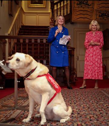 Image Licensed to Parsons Media. 12 05 2026. London, United Kingdom. The Queen- Reception for Medical Detection Dogs. Her Majesty The Queen, as Patron of Medical Detection Dogs, hosts a reception at Clarence House.  Copyright: xAndrewxParsonsx xParsonsxMediax PAR-9207-0007