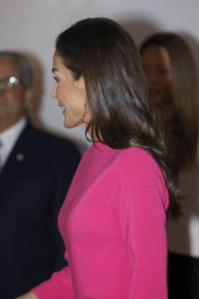 Queen Letizia presides over the inauguration of the XVII Ibero-American Conference of Ministers of Health Queen Letizia arrives at the inauguration of the XVII Ibero-American Conference of Ministers of Health at the Teatro Real in Madrid, on May 14, 2026, in Madrid Spain QUEEN LETIZIA HEALTH MINISTERS HEALTH 14 MAY 2026 José Madrid Madrid Madrid Spain  Copyright: xJosÃ xRuizx 7521960