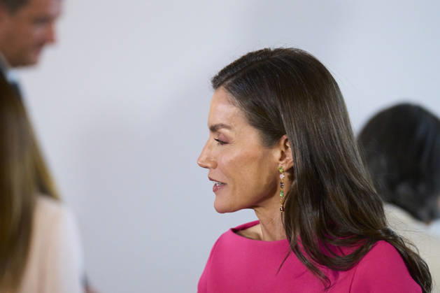 Queen Letizia attends Opening of the 17th Ibero-American Conference of Health Ministers Queen Letizia of Spain attends Opening of the 17th Ibero-American Conference of Health Ministers at Royal Theatre on May 14, 2026 in Madrid, Spain Photo by IMAGO MPG Madrid Royal Theatre Madrid Spain Copyright: xMPGx