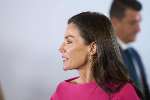Queen Letizia attends Opening of the 17th Ibero-American Conference of Health Ministers Queen Letizia of Spain attends Opening of the 17th Ibero-American Conference of Health Ministers at Royal Theatre on May 14, 2026 in Madrid, Spain Photo by IMAGO MPG Madrid Royal Theatre Madrid Spain Copyright: xMPGx