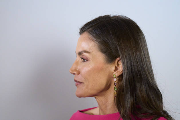 Queen Letizia attends Opening of the 17th Ibero-American Conference of Health Ministers Queen Letizia of Spain attends Opening of the 17th Ibero-American Conference of Health Ministers at Royal Theatre on May 14, 2026 in Madrid, Spain Photo by IMAGO MPG Madrid Royal Theatre Madrid Spain Copyright: xMPGx