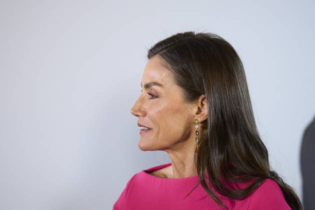 Queen Letizia attends Opening of the 17th Ibero-American Conference of Health Ministers Queen Letizia of Spain attends Opening of the 17th Ibero-American Conference of Health Ministers at Royal Theatre on May 14, 2026 in Madrid, Spain Photo by IMAGO MPG Madrid Royal Theatre Madrid Spain Copyright: xMPGx