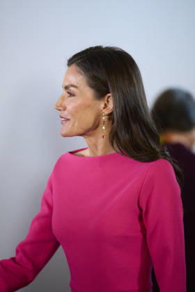 Queen Letizia attends Opening of the 17th Ibero-American Conference of Health Ministers Queen Letizia of Spain attends Opening of the 17th Ibero-American Conference of Health Ministers at Royal Theatre on May 14, 2026 in Madrid, Spain Photo by IMAGO MPG Madrid Royal Theatre Madrid Spain Copyright: xMPGx