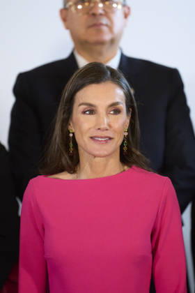 Queen Letizia attends Opening of the 17th Ibero-American Conference of Health Ministers Queen Letizia of Spain attends Opening of the 17th Ibero-American Conference of Health Ministers at Royal Theatre on May 14, 2026 in Madrid, Spain Photo by IMAGO MPG Madrid Royal Theatre Madrid Spain Copyright: xMPGx