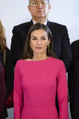 Queen Letizia attends Opening of the 17th Ibero-American Conference of Health Ministers Queen Letizia of Spain attends Opening of the 17th Ibero-American Conference of Health Ministers at Royal Theatre on May 14, 2026 in Madrid, Spain Photo by IMAGO MPG Madrid Royal Theatre Madrid Spain Copyright: xMPGx