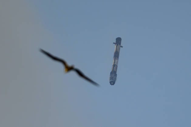 May 15, 2026, Cape Canaveral, Florida, USA: A SpaceX Falcon 9 first-stage reusable booster is seen as it lands back at the launch pad after launching a cargo spacecraft from Space Launch Complex-40 at Cape Canaveral Space Force Station, Florida on May 15, 2026 at 6:05 p.m. EDT. The Dragon cargo spacecraft will deliver about 6,500 pounds of research equipment, crew supplies, and hardware to the International Space Station. Cape Canaveral USA - ZUMAb268 20260515_znp_b268_006 Copyright: xJenniferxBriggsx