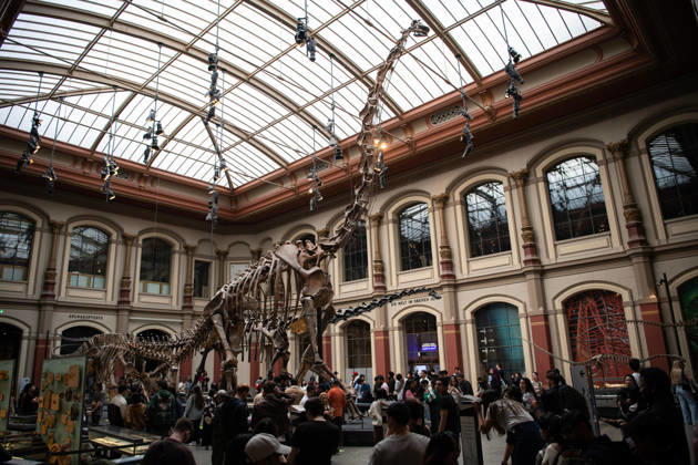 (260518) -- BERLIN, May 18, 2026 -- People visit the Museum of Natural History in Berlin, Germany, May 17, 2026. Museums in Berlin opened to the public free of charge on Sunday in celebration of the upcoming International Museum Day. ) GERMANY-BERLIN-INT L MUSEUM DAY-MUSEUM-FREE ADMISSION ZhangxHaofu 