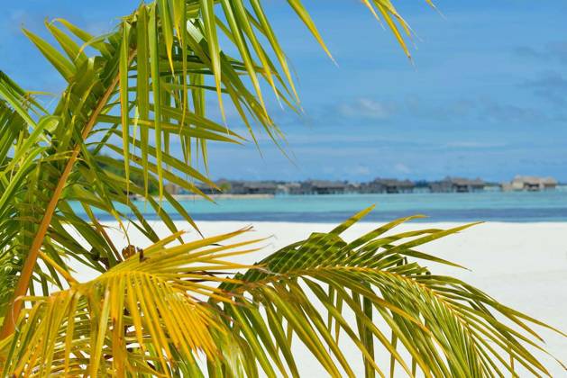 tropical beach nature landscape with white sand at summer model released Symbolfoto, property released Copyright: xdotshockx Panthermedia70284122.jpg