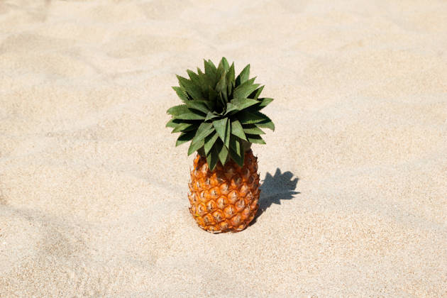 Eine Ananas am weißen Sandstrand an einem sonnigen Tag, mit Platz für Text. Pineapple on the white sand beach on a sunny day, with copy space. (License=RF) Copyright: xZoonar.com NadezhdaxZaitsevax 25068862