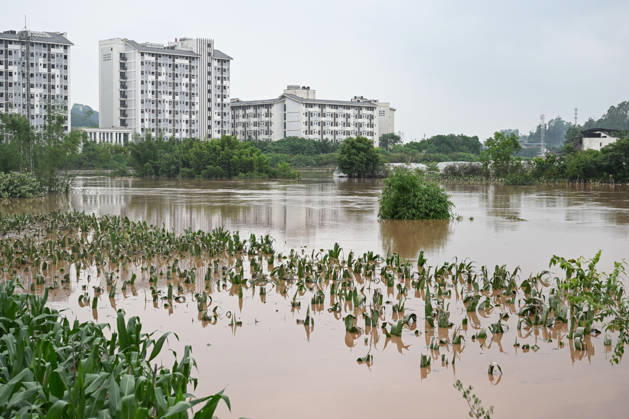 CHONGQING, CHINA - MAY 24: Crops are submerged after extreme rainfalls trigger flash floods and geological disasters on May 24, 2026 in Yongchuan District, Chongqing City, China. Devastating rainstorms struck parts of Southwest China s Chongqing over the weekend, resulting in multiple casualties and missing people in the municipality s Yongchuan and Beibei districts. Rescue efforts are ongoing. As of 2:30 pm on May 24, local authorities reported three deaths and 17 people missing in Yongchuan, with another two people missing in Beibei.  Copyright: xChinaxNewsxServicex 111643812966