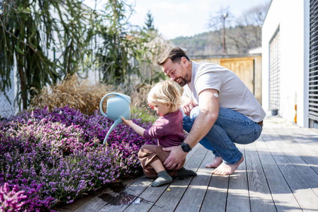 Father and son watering plants together in garden. Father and son watering plants together in garden at home. model released