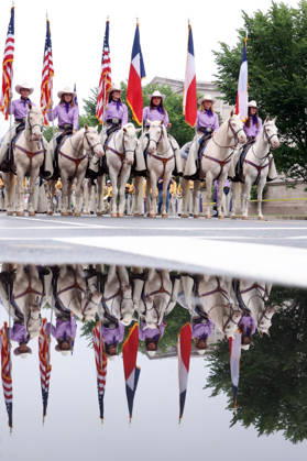 May 25, 2026, Washington, District Of Columbia, USA: Members of the Six White Horses team from Hardin-Simmons University take part in the National Memorial Day Parade on Constitution Avenue in Washington, DC, USA, on May 25, 2026. The parade has been held annually since 2005, marking its 21st anniversary. Washington USA  - ZUMAs337 20260525_znp_s337_033 Copyright: xGentxShkullakux