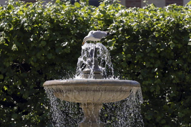 Paris, France May 27, 2026 - A bird drinks from a fountain in Place des Vosges during the heat wave .Temperatures in the French capital are about 10 degrees higher than the seasonal average, with temperatures exceeding 30 degrees, reaching the threshold for a heat wave. METEO, CANICULE, FORTES CHALEURS, ILLUSTRATION, ESTIVAL, ESTIVALE, GENERIQUE, SOLEIL, TOURISME, SITE TOURISTIQUE, PARIS, VIGILANCE, VAGUE DE CHALEUR, CHANGEMENT CLIMATIQUE, PLACE DES VOSGES, JARDIN, PARC, ANIMAUX, BOIRE, EAU, OISEAUX, MOUETTE Copyright: xVincentxIsorex