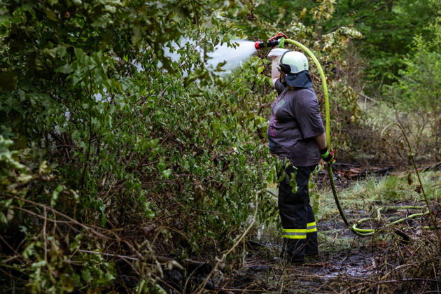 Waldbrand bei Weiterstadt Am 29.05.2026 ist in Weiterstadt-Gräfenhausen westlich der Autobahn A5 ein Waldbrand ausgebrochen. Betroffen war eine rund 900 Quadratmeter große Waldfläche zwischen der Raststätte Gräfenhausen West und dem angrenzenden Steinrodsee. 106 Einsatzkräfte mit 20 Löschfahrzeugen waren vor Ort. Die Feuerwehr brachte den Brand unter Kontrolle und verhinderte eine Ausdehnung auf angrenzende Waldbereiche. Die Nachlöscharbeiten dauerten bis in die Abendstunden an. Weiterstadt Gräfenhausen Hessen Deutschland