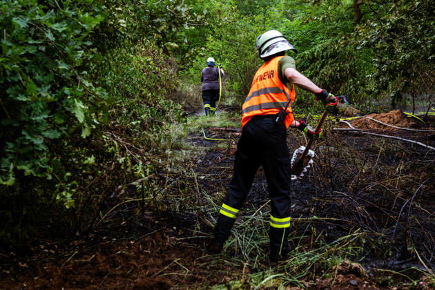 Waldbrand bei Weiterstadt Am 29.05.2026 ist in Weiterstadt-Gräfenhausen westlich der Autobahn A5 ein Waldbrand ausgebrochen. Betroffen war eine rund 900 Quadratmeter große Waldfläche zwischen der Raststätte Gräfenhausen West und dem angrenzenden Steinrodsee. 106 Einsatzkräfte mit 20 Löschfahrzeugen waren vor Ort. Die Feuerwehr brachte den Brand unter Kontrolle und verhinderte eine Ausdehnung auf angrenzende Waldbereiche. Die Nachlöscharbeiten dauerten bis in die Abendstunden an. Weiterstadt Gräfenhausen Hessen Deutschland