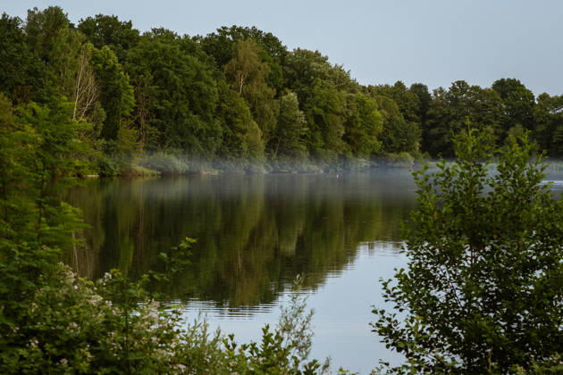 Waldbrand bei Weiterstadt Am 29.05.2026 ist in Weiterstadt-Gräfenhausen westlich der Autobahn A5 ein Waldbrand ausgebrochen. Betroffen war eine rund 900 Quadratmeter große Waldfläche zwischen der Raststätte Gräfenhausen West und dem angrenzenden Steinrodsee. 106 Einsatzkräfte mit 20 Löschfahrzeugen waren vor Ort. Die Feuerwehr brachte den Brand unter Kontrolle und verhinderte eine Ausdehnung auf angrenzende Waldbereiche. Die Nachlöscharbeiten dauerten bis in die Abendstunden an. Weiterstadt Gräfenhausen Hessen Deutschland