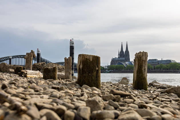 Niedrigwasser in Köln 29.05.2026 Niedrigwasser am Rhein in Köln-Deutz: Bei einem Rheinpegel von 148 cm am Pegel Köln sind am rechtsrheinischen Ufer Kiesflächen und alte Holzpfähle freigelegt. Die Holzpfähle werden bei Niedrigwasser sichtbar; ihre genaue historische Zuordnung gilt als nicht eindeutig. Im Hintergrund sind der Kölner Dom und die Hohenzollernbrücke zu sehen. Köln Deutz Nordrhein-Westfalen Deutschland Copyright: xMarcxJohnx