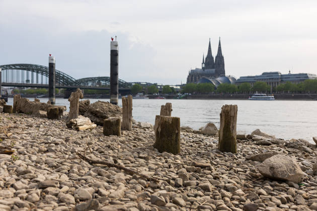 Niedrigwasser in Köln 29.05.2026 Niedrigwasser am Rhein in Köln-Deutz: Bei einem Rheinpegel von 148 cm am Pegel Köln sind am rechtsrheinischen Ufer Kiesflächen und alte Holzpfähle freigelegt. Die Holzpfähle werden bei Niedrigwasser sichtbar; ihre genaue historische Zuordnung gilt als nicht eindeutig. Im Hintergrund sind der Kölner Dom und die Hohenzollernbrücke zu sehen. Köln Deutz Nordrhein-Westfalen Deutschland Copyright: xMarcxJohnx