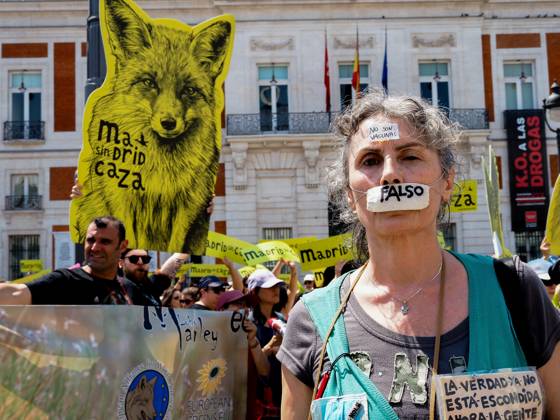 May 30, 2026, Madrid, Madrid, Spain: MADRID, SPAIN - MAY 30: Animal rights groups march through the center of Madrid to Puerta del Sol, demanding an end to hunting practices in Spain. Madrid Spain  - ZUMAh199 20260530_zip_h199_002 Copyright: xAaronxHerediax