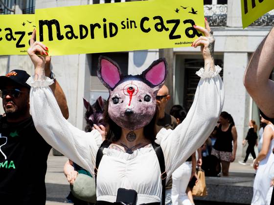 May 30, 2026, Madrid, Madrid, Spain: MADRID, SPAIN - MAY 30: Animal rights groups march through the center of Madrid to Puerta del Sol, demanding an end to hunting practices in Spain. Madrid Spain - ZUMAh199 20260530_zip_h199_007 Copyright: xAaronxHerediax